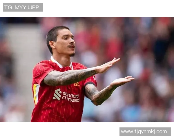 努涅斯在新赛季的表现分析与球队未来发展展望 努涅斯在新赛季的表现分析与球队未来发展展望