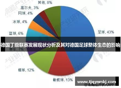 德国丁级联赛发展现状分析及其对德国足球整体生态的影响