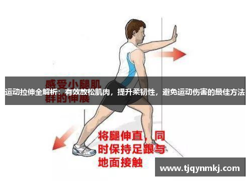 运动拉伸全解析：有效放松肌肉，提升柔韧性，避免运动伤害的最佳方法