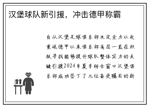 汉堡球队新引援，冲击德甲称霸